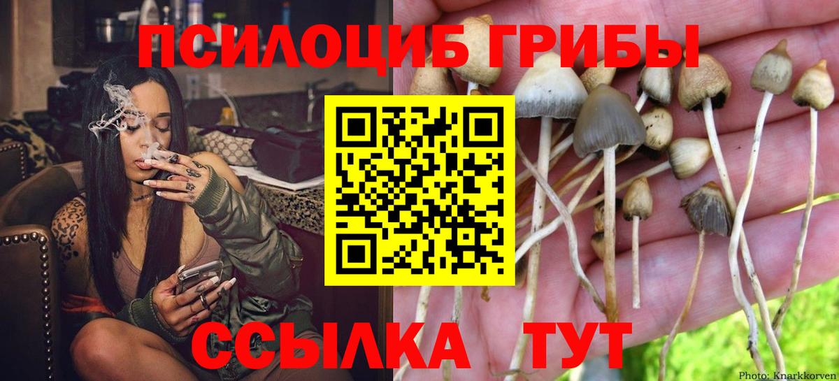 Псилоцибиновые грибы MAGIC MUSHROOMS  Псилоцибиновые грибы GOLDEN TEACHER  Вход с VPN  Брянск 